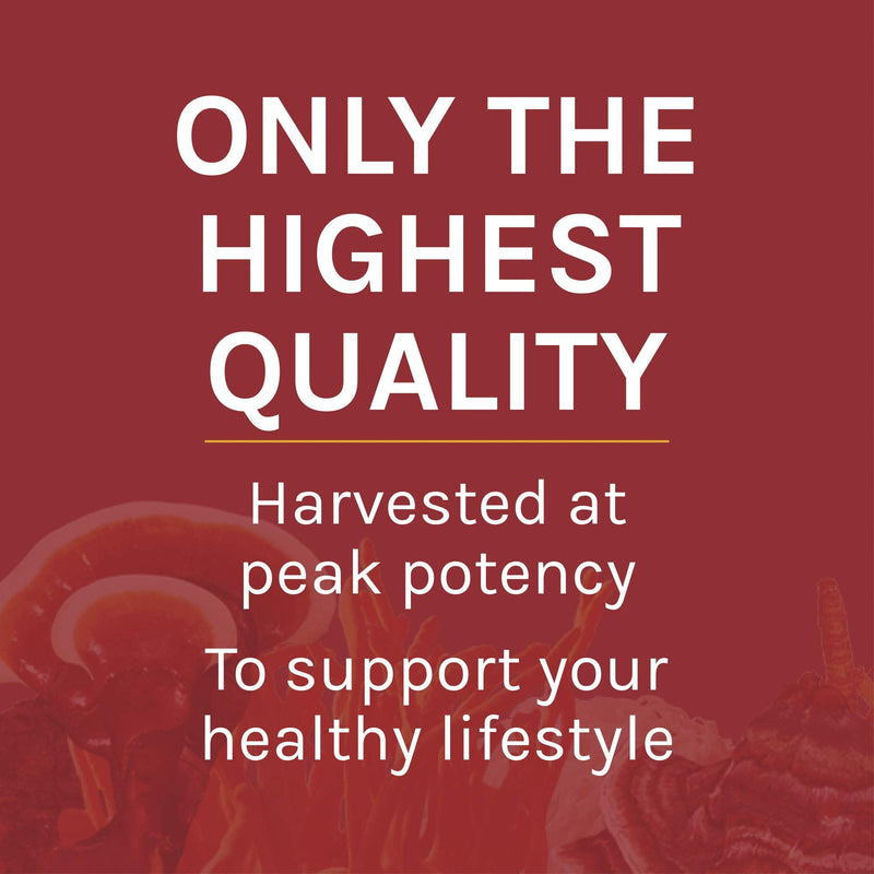 [Australia] - Host Defense, Reishi Mushroom Powder, Supports Energy, Cardiovascular Health and Stress Response, Mushroom Supplement, 3.5 oz, Plain 