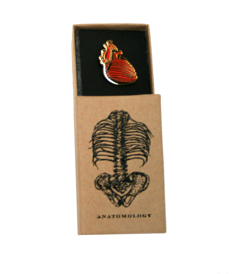 [Australia] - Anatomical Heart Lapel pin 