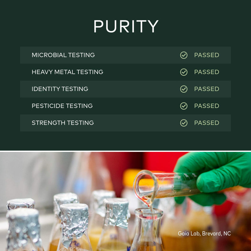 [Australia] - Gaia Herbs Olive Leaf - Traditional Immune Health Support - Immune System Supplement with Olive Leaf Extract and Oleuropein - 120 Vegan Liquid Phyto-Caps 120 Count (Pack of 1) Liquid Phyto-Capsules Standard Packaging 