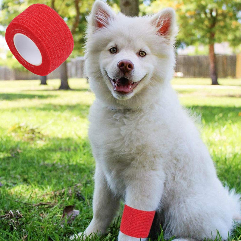 [Australia] - N7PI 新品 Self Adherent Bandage,6 Rolls Self Adhesive Bandage Wrap,Pet Vet Wrap Bulk Stretch Tape,Cohesive Bandages,for Finger, Sports and Stretch Athletic (1) 1 