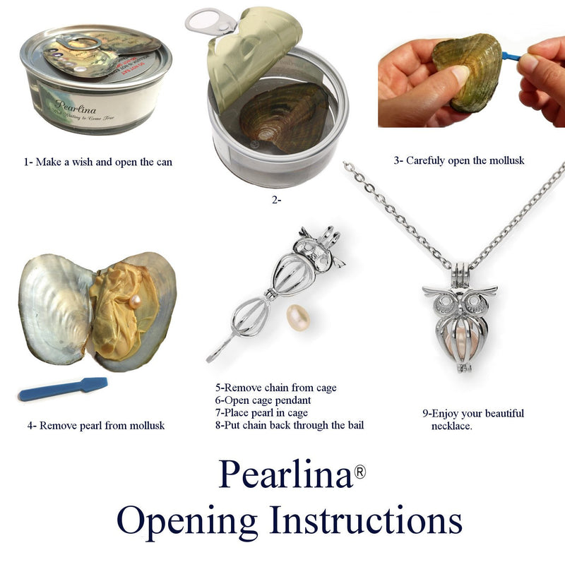 [Australia] - Pearlina Owl Cultured Pearl in Oyster Necklace Set Silver-tone Cage w/Stainless Steel Chain 18" 