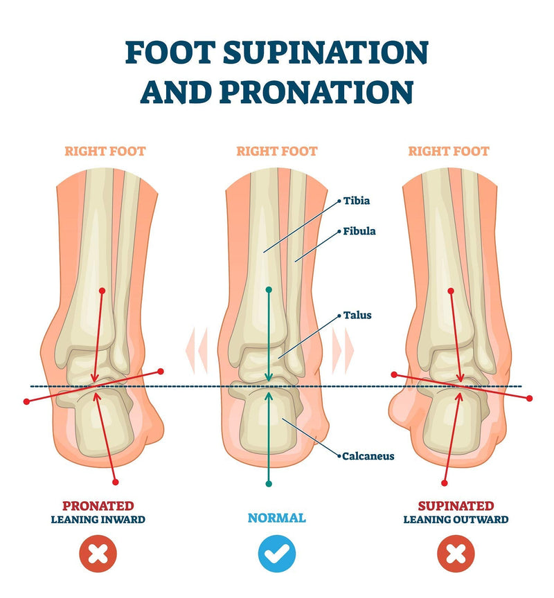 [Australia] - Pedag Correct, German Made Medial and Lateral Wedge Heel Straightener Insert, for Pronation and Supination, Knock Knee Pain, Bow Legs, Vegetable Tanned Leather, Extra Large (Men 11L to Men 13) Extra Large (M11-13/EU 44-46) 