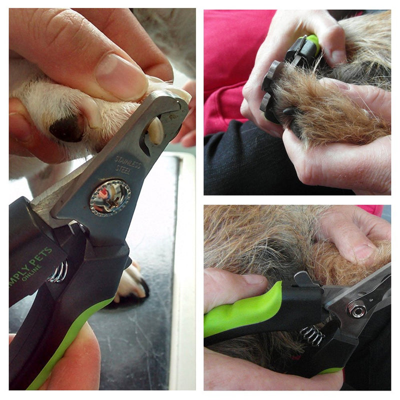 [Australia] - Dog Nail Clippers with Safety Guard - Superior Sharpness - Designed By Vets - Suitable for Large Dogs - Stainless Steel Dog Claw Clippers Single 