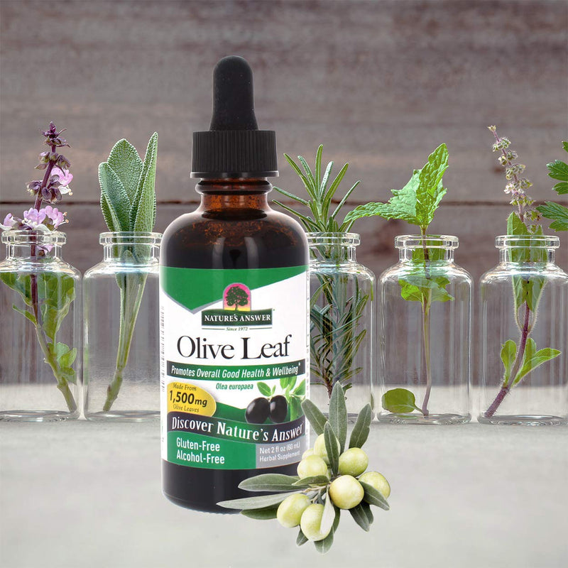 [Australia] - Nature's Answer Oleopein Olive Leaf, Promotes Overall Good Health and Well Being* Alcohol-Free, Gluten-Free & Kosher 2oz 