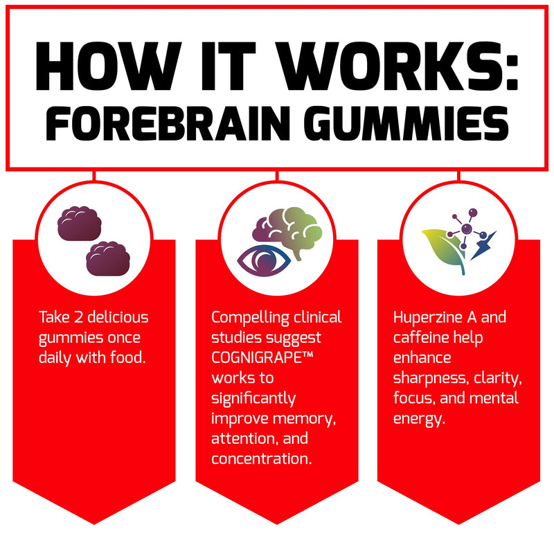 [Australia] - Forebrain Gummies Nootropic Brain Support Supplement for Memory and Focus, Brain Vitamin with COGNIGRAPE and Huperzine A, Focus Gummies to Support Recall and Sharpness, Force Factor, 60 Gummies 60 Count (Pack of 1) 