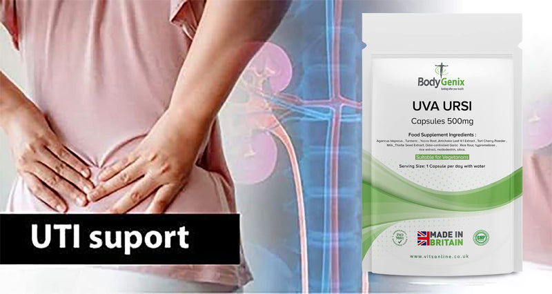 [Australia] - Bodygenix UVA Ursi | with Anti-inflammatory Properties | Supplement | Support Healthy Immune System and Urinary infections | 500mg (30) 1 Month Supply 