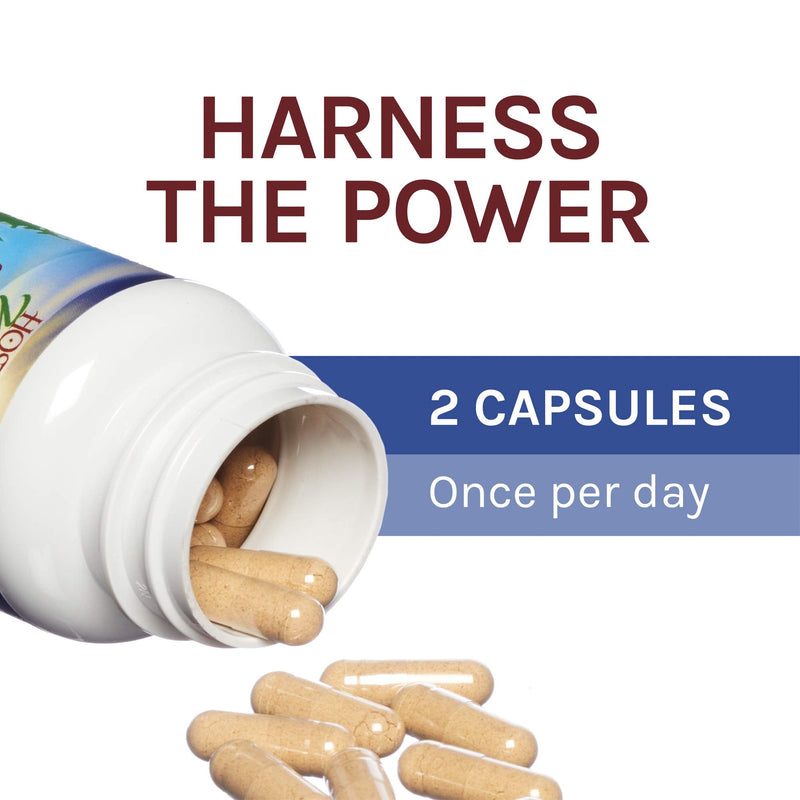 [Australia] - Host Defense, Stamets 7 Capsules, Daily Immune Support, Mushroom Supplement with Lion’s Mane, Reishi, Vegan, Organic, 120 Capsules (60 Servings) 120 Count (Pack of 1) Standard Packaging 