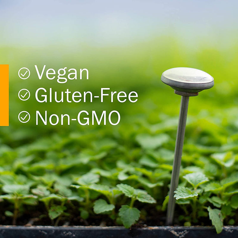 [Australia] - Herb Pharm Myrrh Liquid Extract for Immune System Support - 1 Ounce (DMYRR01) 1 Fl Oz (Pack of 1) 