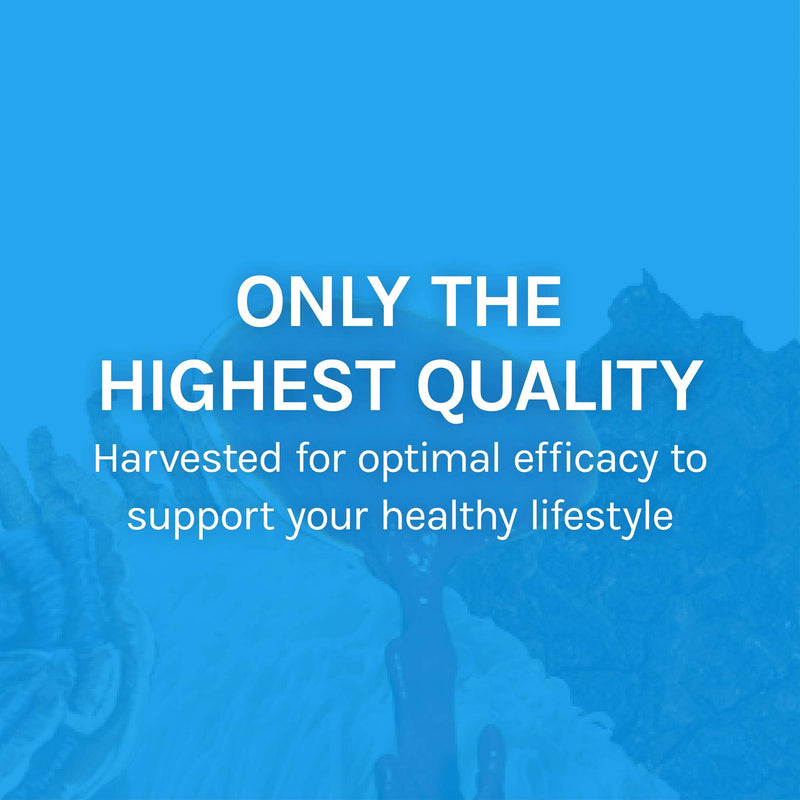 [Australia] - Host Defense, CordyChi Capsules, Helps Reduce Stress and Fatigue, Mushroom Supplement with Cordyceps and Reishi, Vegan, Organic, 120 Capsules (60 Servings) 120 Count (Pack of 1) Standard Packaging 