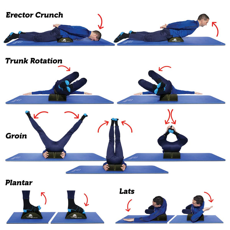 [Australia] - BackBaller.com Rolling Evolved The Hog - Pilates Hedgehog Training/Back Stretcher/Abdominal Trainer/AB Mat 