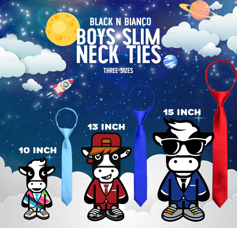[Australia] - Black n Bianco Boys' Satin Slim Zipper Neck Tie 10 Inch Baby Pink 
