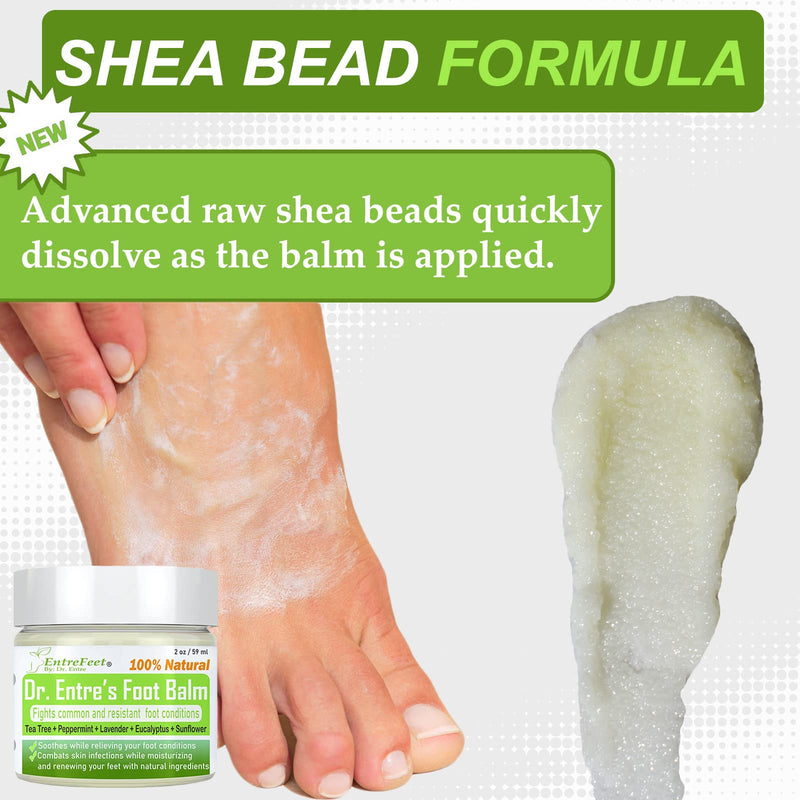 [Australia] - Dr. Entre's Antifungal Foot Balm: Tea Tree Oil & Shea Butter Based - Organic Treatment Cream for Athletes Foot, Dry Feet, Cracked Heels, Itching, and Odor - Foot Care E-Book Included 