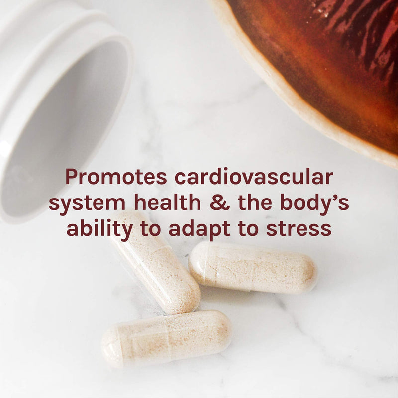 [Australia] - Host Defense, Reishi Capsules, Supports General Wellness and Vitality, Daily Mushroom Mycelium Supplement, USDA Organic, Gluten Free, 120 Vegetarian Capsules (60 Servings) 120 Count (Pack of 1) 