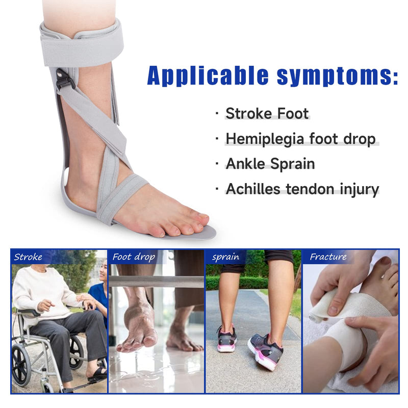 [Australia] - AFO Foot Drop Brace Ankle Foot Orthosis, for Foot Drop, Stroke, Hemiplegia, Tendon and Calf Stretching, Keeping Foot in Straight Right Angle (M, Right) M 