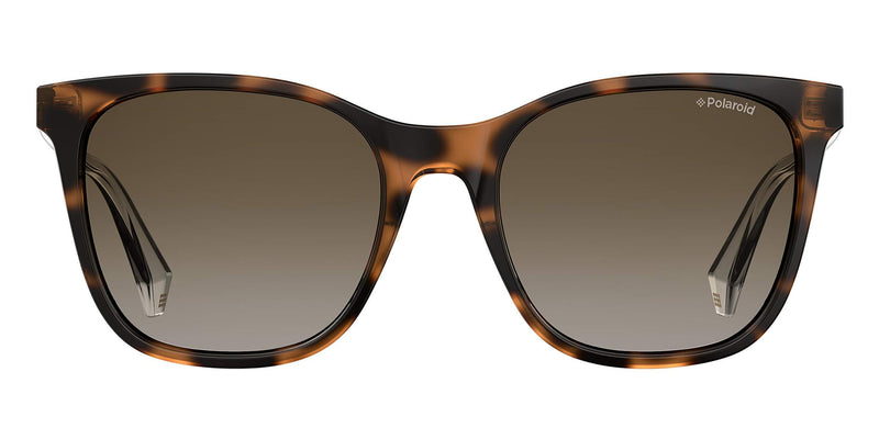 [Australia] - Polaroid Sunglasses Women's Pld4059/S Square Sunglasses Dark Havana/Bw Black Brown 53. Millimetres 