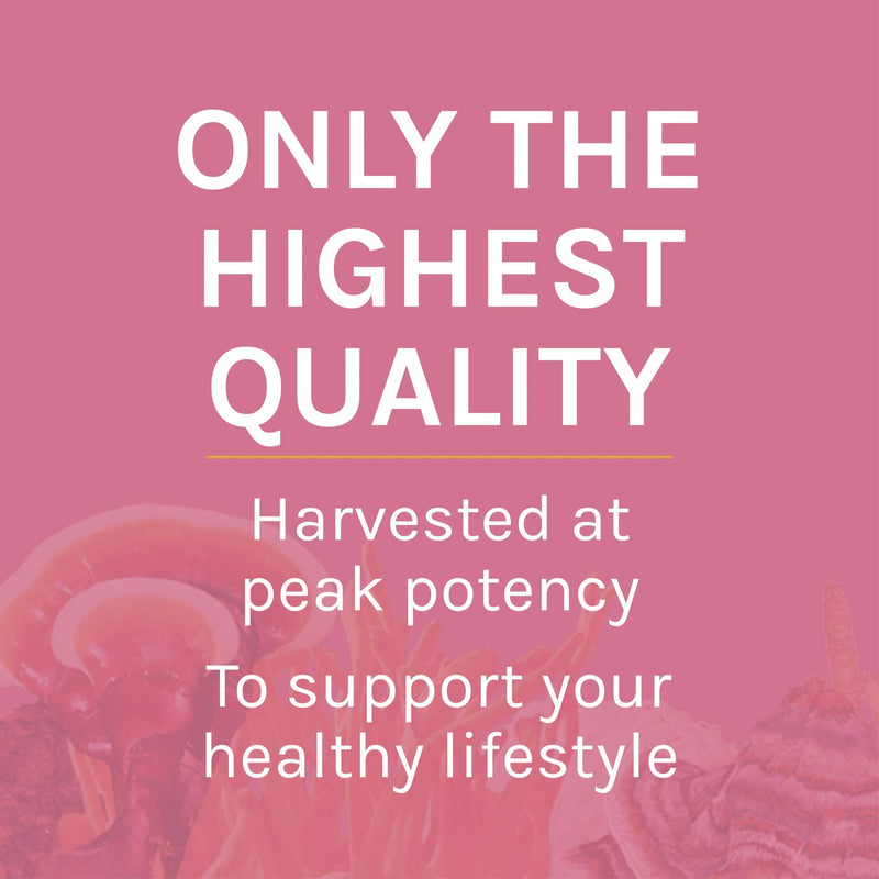 [Australia] - Host Defense, Turkey Tail Mushroom Powder, Supports Immune Health, Mushroom Supplement, 3.5 oz, Plain 