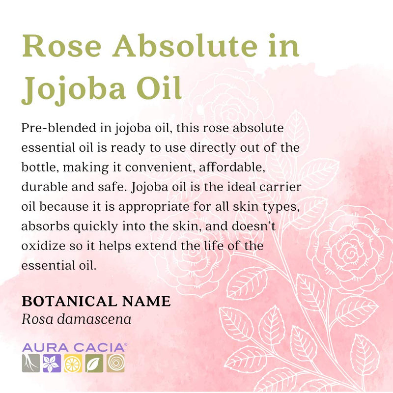 [Australia] - Aura Cacia Rose Absolute in Jojoba Oil 15ml 0.5 Fl Oz (Pack of 1) 