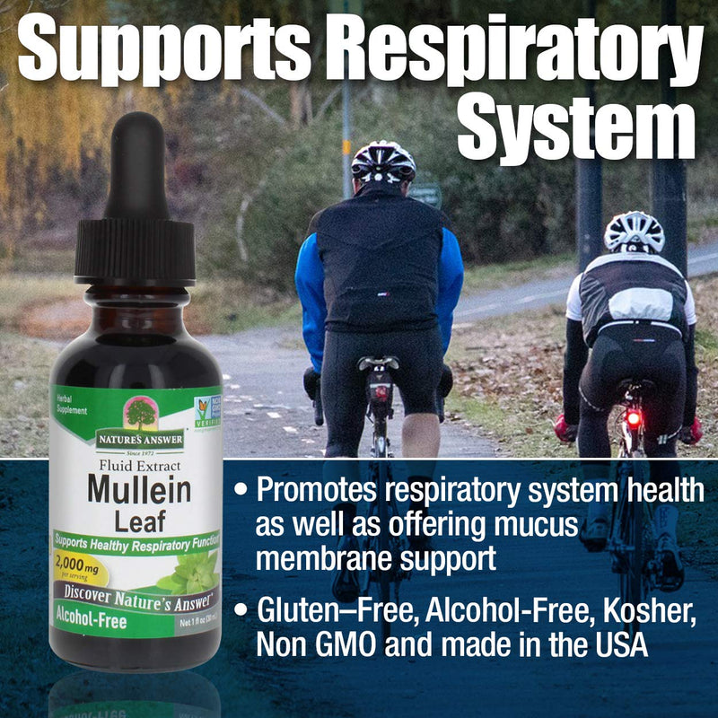 [Australia] - Nature's Answer Mullein Leaf | Herbal Supplement | Supports Healthy Respiratory Function & Healthy Mucous Membranes | Non-GMO & Kosher | Gluten-Free & Alcohol-Free 1oz 1 Fl Oz (Pack of 1) 