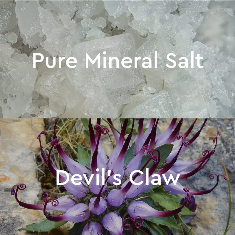 [Australia] - Kneipp Mineral Bath Salt Back Comfort Devils Claw, 17.63 oz 17.63 Ounce (Pack of 1) 