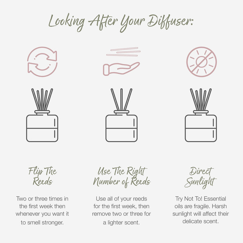 [Australia] - Valentte Reed Diffuser for Home with Sticks, Aromatherapy Essential Oils, Natural Ingredients, Long Lasting Fragrance, Made in the UK (White Neroli and Lemon) White Neroli & Lemon 