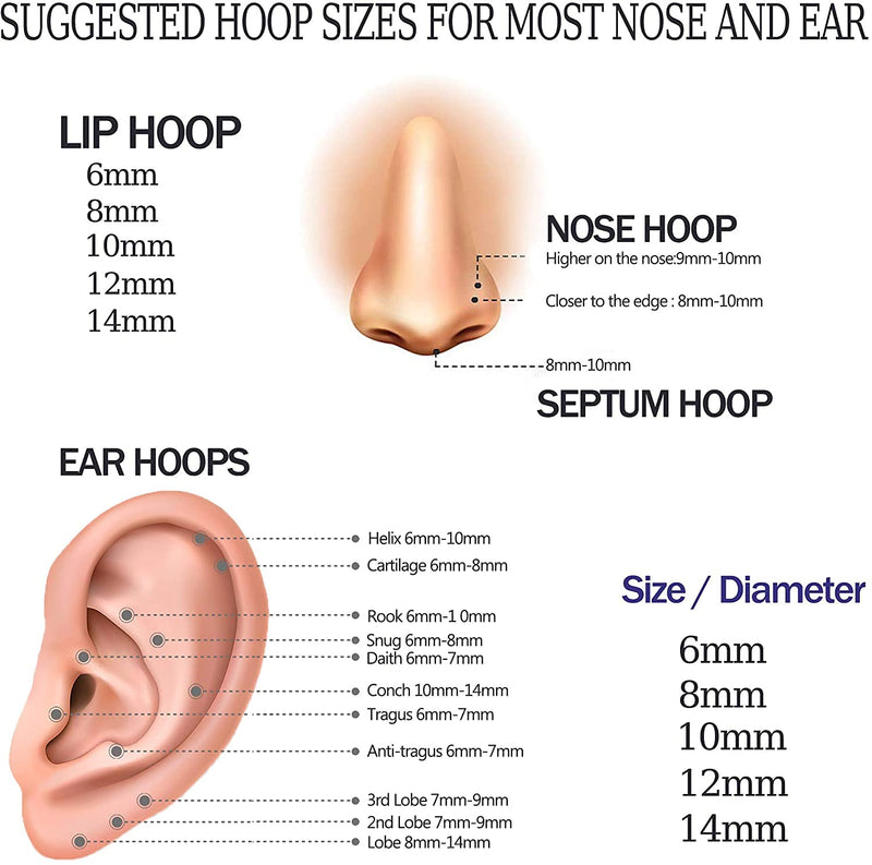 [Australia] - MILACOLATO 5Pcs 16G G23 Titanium Nose Rings Hoop Multi-Color Hinged Ear Cartilage Lip Septum Rings Body Piercing Jewelry 8MM/10MM/12MM 10.0 Millimeters 