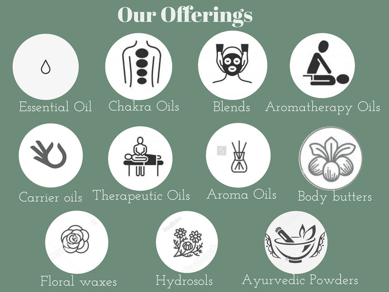 [Australia] - Greenwood Essential Pure Onion Seed Oil (Allium Cepa) 100% Natural Therapeutic Grade Cold Pressed for Hair, Scalp, Skin and Massage 30ml (1.01 oz) 30 ml (Pack of 1) 