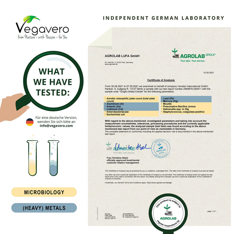 [Australia] - Ginkgo Biloba 6000mg Vegavero® | High Strength 50:1 Extract | 6 Month Supply - 180 Vegan Capsules | 24% Glycosides | NO Additives 
