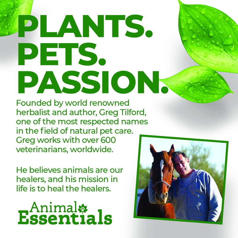 [Australia] - Animal Essentials Seaweed Calcium Supplement for Dogs & Cats, 12 oz - Iceland Seaweed Magnesium, Boron, Zinc 