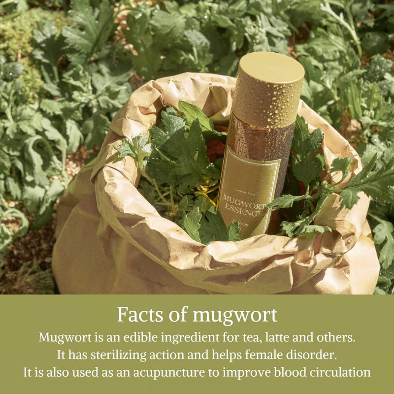 [Australia] - [I'm From] Mugwort Essence 5.4 Fl Oz | 100% Vegan Mugwort Extract - Soothe Sensitive and Irritated Skin, Redness Relief, Refreshing, Hydrating toner | All Skin Types, PETA approved 