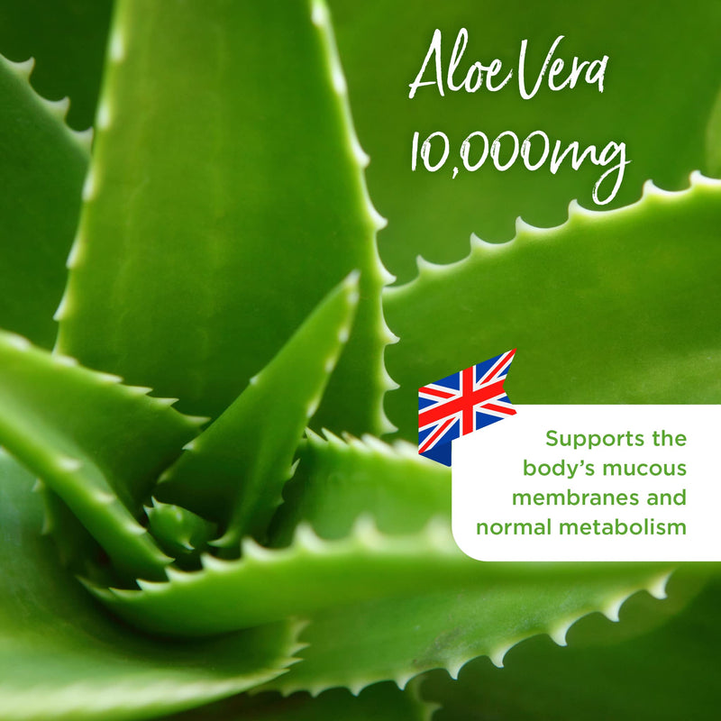 [Australia] - Healthspan Aloe Vera 10,000mg (180 Tablets) | Supports Normal Metabolism | 10,000mg Pure Aloe Vera Gel | Helps to Maintain Normal Immune System | Added B Vitamins | Vegan Friendly 