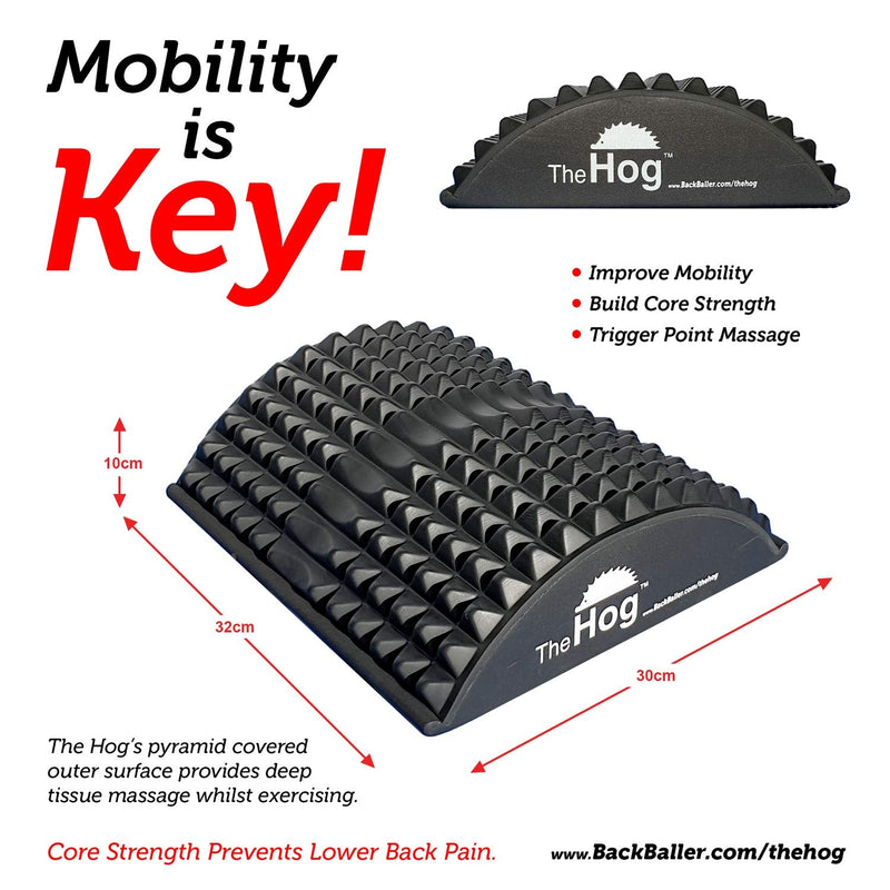 [Australia] - BackBaller.com Rolling Evolved The Hog - Pilates Hedgehog Training/Back Stretcher/Abdominal Trainer/AB Mat 