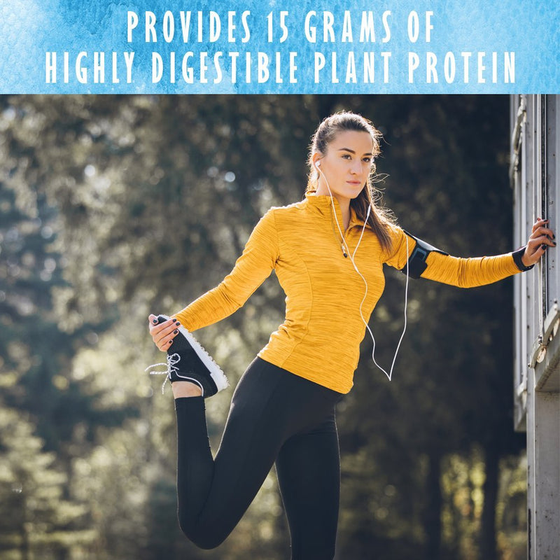 [Australia] - Garden of Life Organic Plant Protein Smooth Vanilla Powder, 10 Servings - Vegan, Grain Free & Gluten Free Plant Based Protein Shake with 1 Billion CFU Probiotics & Enzymes, Protein, White, 9.4 Oz 10 Servings (Pack of 1) 