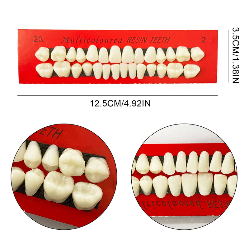 [Australia] - VIKSAUN 4 Pieces Acrylic Resin Fake Teeth Dental Denture False Teeth Halloween Horror Teeth Synthetic Resin Teeth for Halloween Makeup Cosplay Costume Party Ornament Supplies (4 pcs) 4 Pcs 