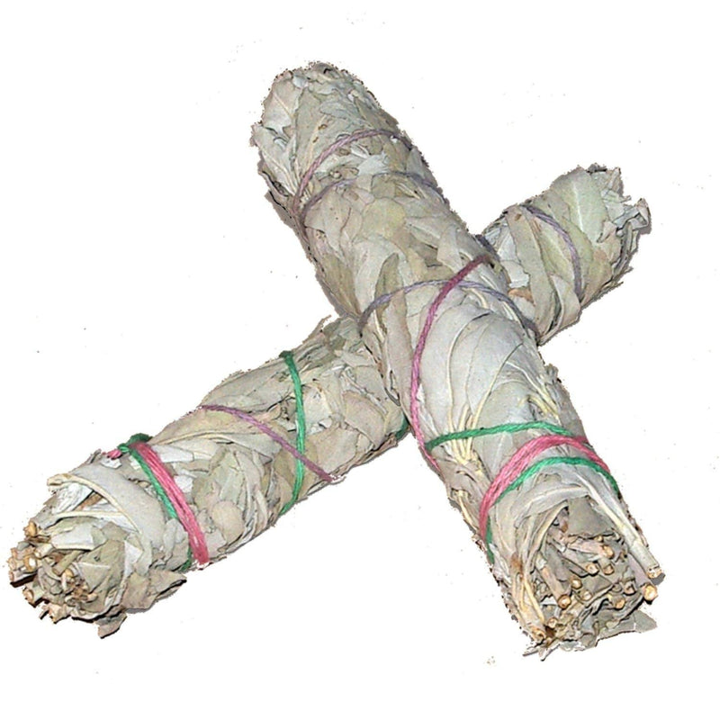 [Australia] - Pack of 2: WHITE SAGE Quality by Native Spirit XL Smudge Stick 7''-8'' (~18-21cm; je ~40-55gr) Incense fresh from California, buffalo sage, indian sage, wands 