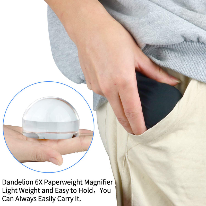[Australia] - Dandelion 6X Dome / Paperweight Magnifier w/ Pouch Table Magnifying 