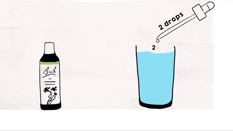 [Australia] - Bach Original Flower Remedy Cerato, Flower Essences, Vegan formula, Let me be me, An Individual and Personal Approach to Emotional Wellness, Easy to use, 1 Dropper Bottle x 20 ml 