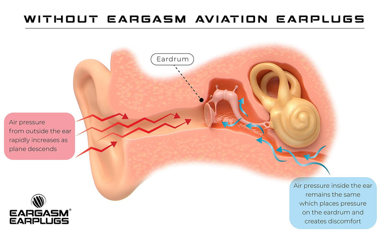 [Australia] - Eargasm Aviation Earplugs - Ear Pain Relief for Air Travel - Small Size (2 Pairs in Gift Box Packaging) 