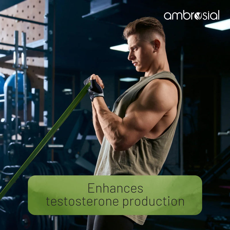 [Australia] - Ambrosial Maca Root Capsules for Women & Men | High Strength 500 mg Maca Powder per Capsule | Supports Building Stamina & Energy | 60 Vegan Capsules 
