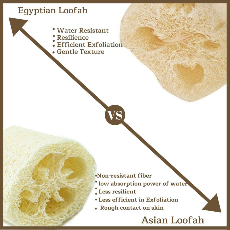 [Australia] - All Natural Loofah Sponge, Pack of 1 Real Egyptian Bath & Shower Exfoliating Loofa Scrubber Sponges for Face, Back & Body, Eco Friendly, No Toxic Chemicals, 6" x 6" by Crafts of Egypt Set of 1 