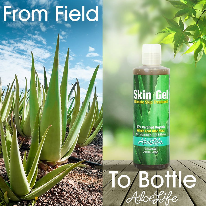 [Australia] - Aloe Life – Skin Gel & Herbs Ultimate Skin Treatment, 99% Certified Organic Whole Leaf Aloe Vera, Vitamins C, A, & E, Head-to-Toe Skin Care Support for the Whole Family, Fragrance-Free (8 oz) 8 Ounce (Pack of 1) 