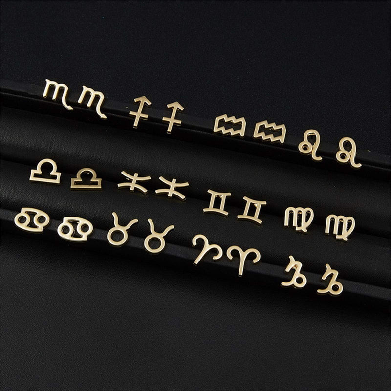 [Australia] - 2021 New Card Packaging Horoscope Zodiac Stud Earrings 12 Constellation Astrology 18K Gold Plated Little Ear Stud for Women Girls Teens Birthday Anniversary Friendship Exquisite Jewelry Gift Aquarius 