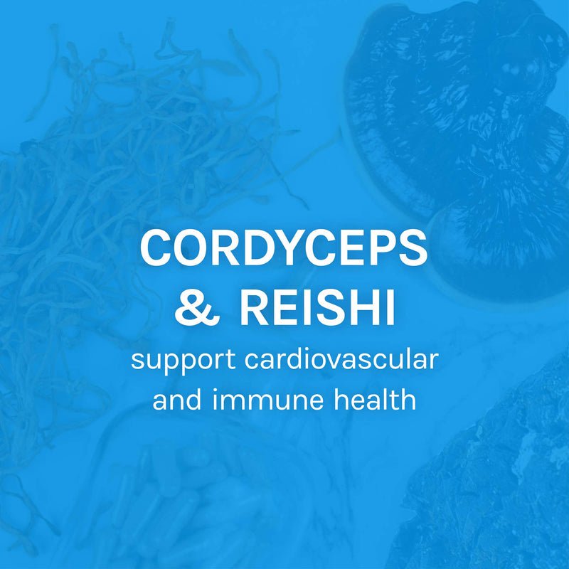 [Australia] - Host Defense, CordyChi Capsules, Helps Reduce Stress and Fatigue, Mushroom Supplement with Cordyceps and Reishi, Vegan, Organic, 120 Capsules (60 Servings) 120 Count (Pack of 1) Standard Packaging 