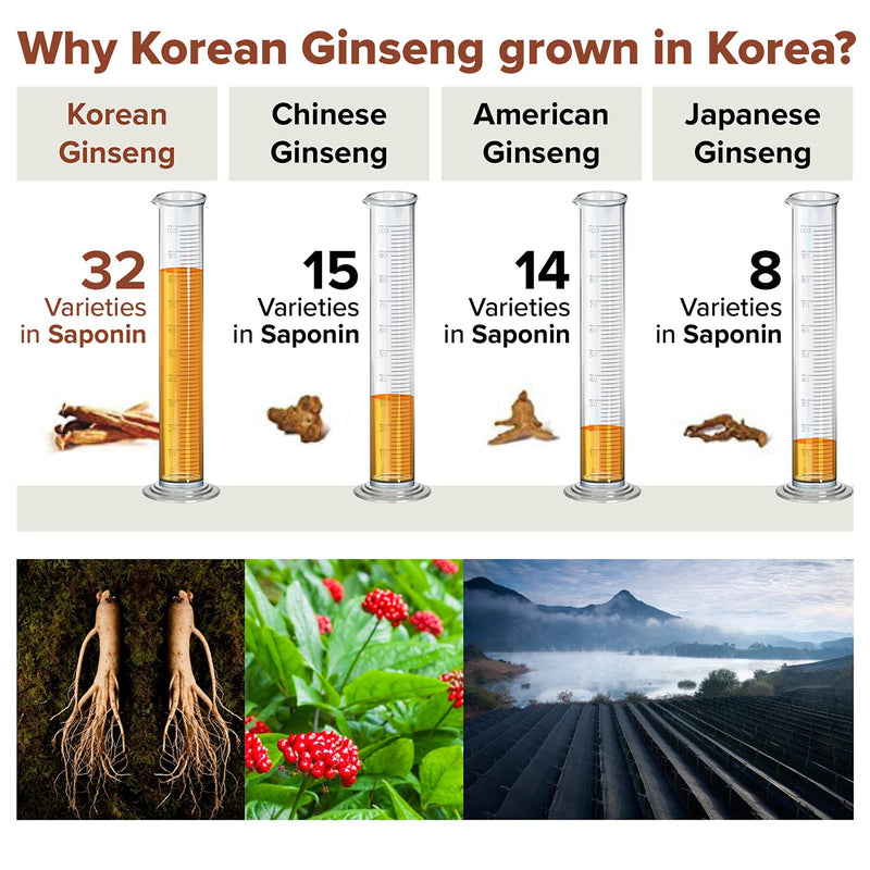 [Australia] - BTGIN Korean Red Ginseng Capsules, Natural Energy Supplements for Immune Support, Stress Relief, Focus and Mental Clarity, The Root Original Enriched with Pure Ginsenosides Rg3 
