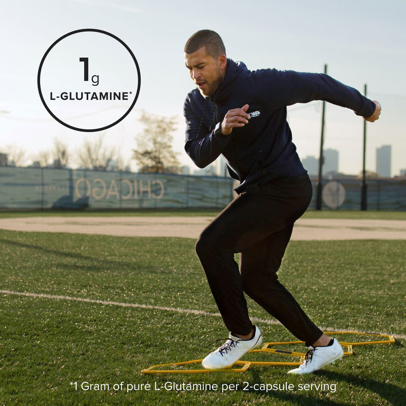 [Australia] - Optimum Nutrition L-Glutamine Muscle Recovery Capsules, 1000mg, 240 Count (Package May Vary) 