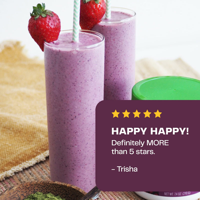 [Australia] - Amazing Grass Greens Blend Antioxidant: Super Greens Powder Smoothie Mix with Spirulina, Beet Root Powder, Elderberry, Bilberry, Prebioitics & Probiotics, Sweet Berry, 30 Servings (Packaging May Vary) Antioxidant Berry 30 Servings (Pack of 1) 