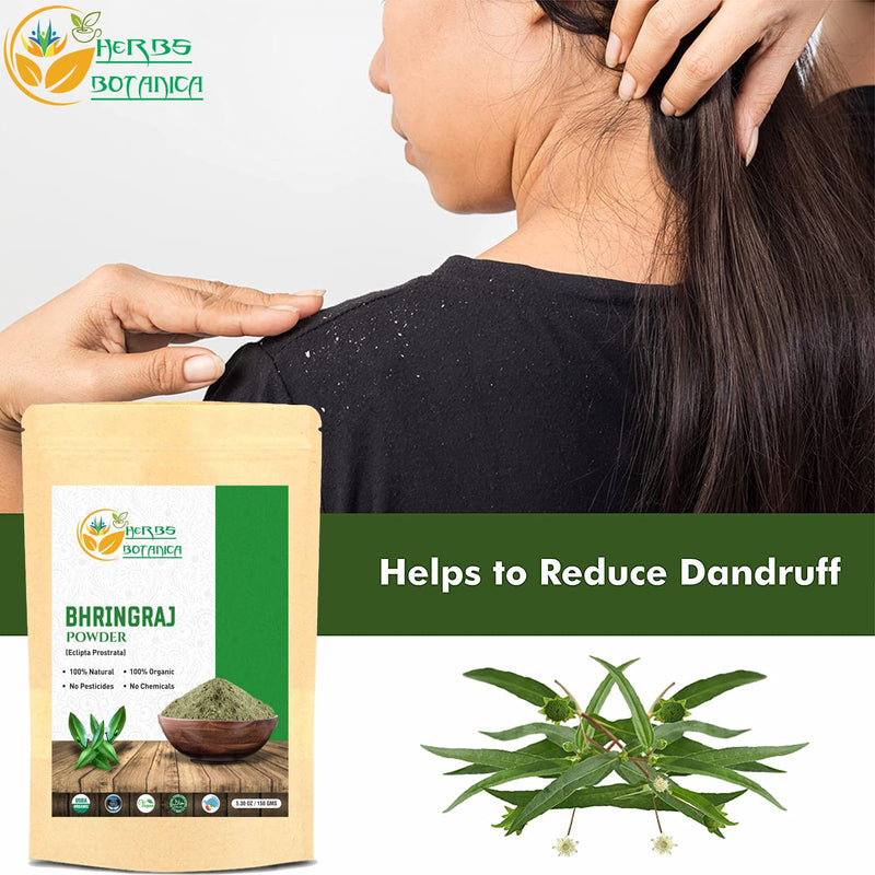 [Australia] - Herbs Botanica 100% Natural Bhringraj Powder | Pure Bhringaraj Eclipta Alba - Promotes Healthy Hair Growth (150 gm (0.33 lb) 5.3 Oz Bringraj Powder For Hair Growth Ayurvedic Powder 