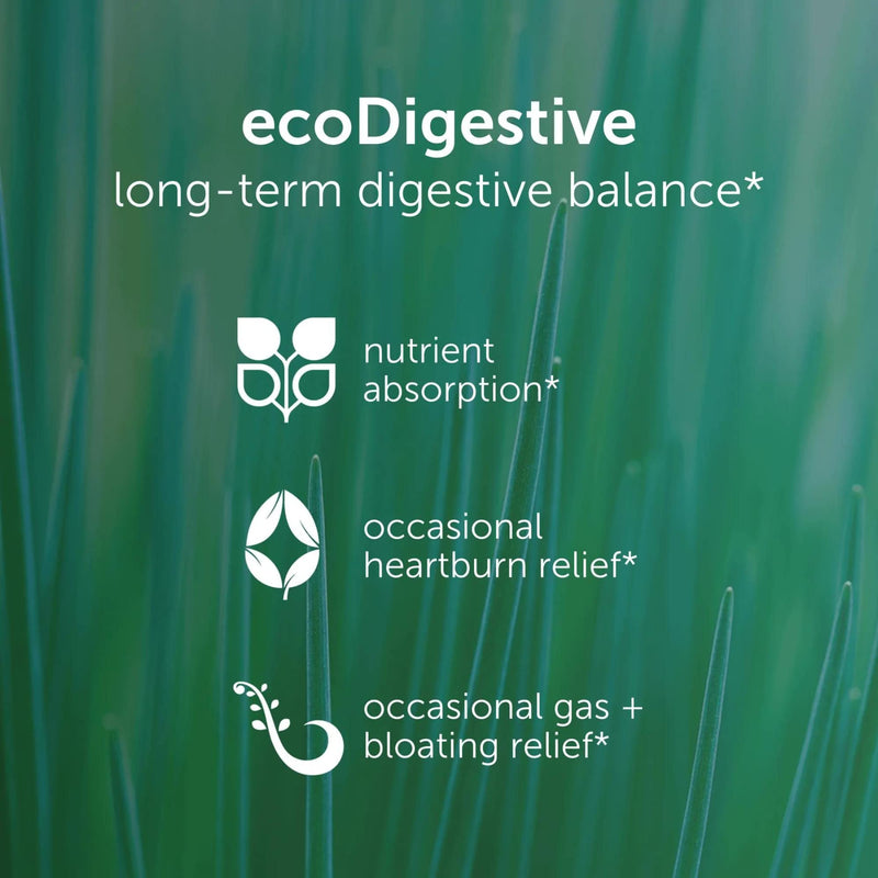[Australia] - EcoNugenics EcoDigest Digestive Health Supplement - 60 Capsules- Digestive Support - Herbs, Medicinal Mushrooms & Enzymes - Relief from Heartburn, Indigestion, GERD Acid Reflux, Gas, Nausea & Bloating 