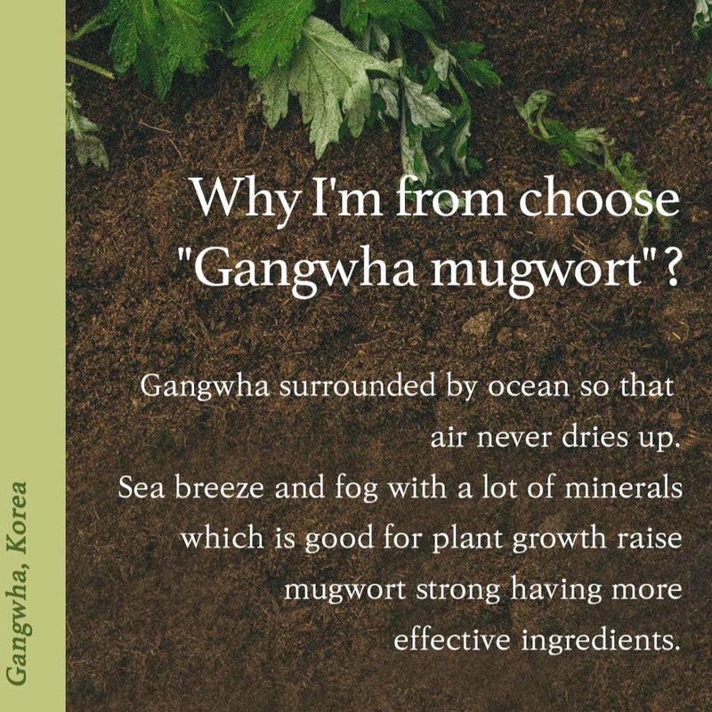 [Australia] - [I'm From] Mugwort Essence 5.4 Fl Oz | 100% Vegan Mugwort Extract - Soothe Sensitive and Irritated Skin, Redness Relief, Refreshing, Hydrating toner | All Skin Types, PETA approved 