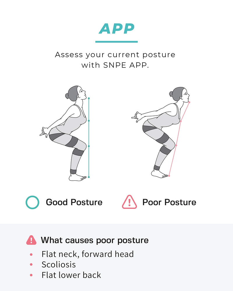 [Australia] - SNPE Two Way Pelvic Belts. Posture Corrector for Women and Men. Si Belt for Sciatica Pain Relief. (L) Large (Pack of 1) 