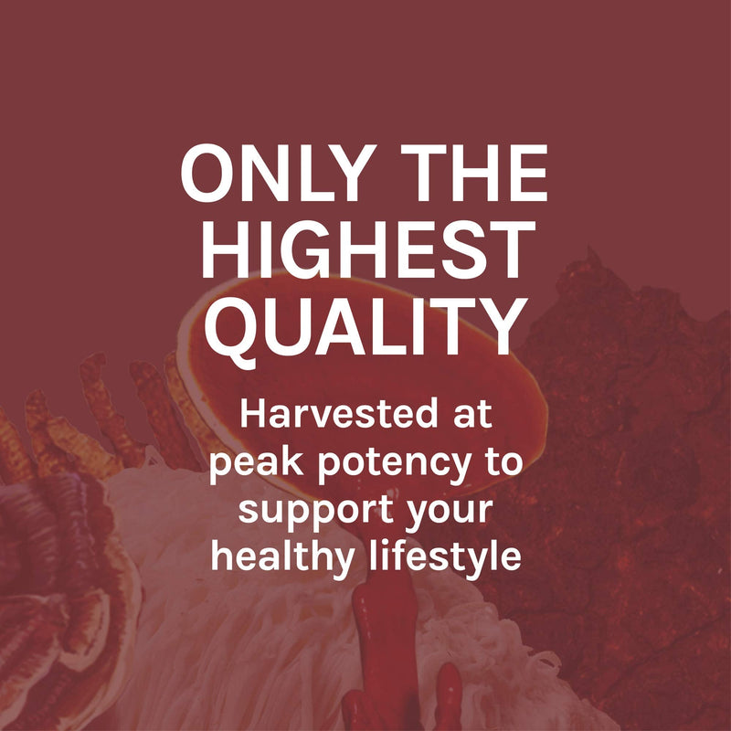 [Australia] - Host Defense, Reishi Capsules, Supports General Wellness and Vitality, Daily Mushroom Mycelium Supplement, USDA Organic, Gluten Free, 120 Vegetarian Capsules (60 Servings) 120 Count (Pack of 1) 
